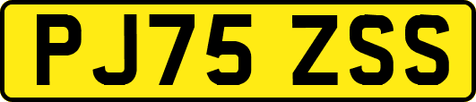 PJ75ZSS