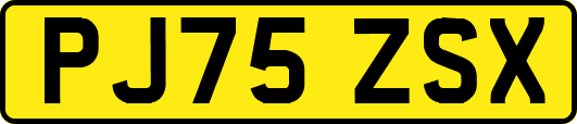 PJ75ZSX