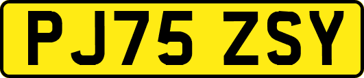 PJ75ZSY