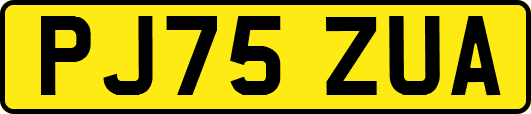 PJ75ZUA