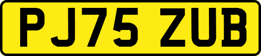 PJ75ZUB