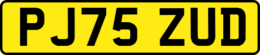 PJ75ZUD