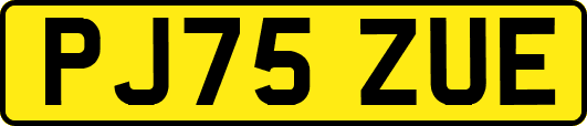 PJ75ZUE