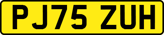 PJ75ZUH