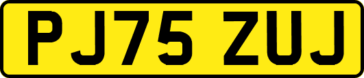 PJ75ZUJ