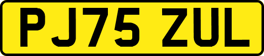 PJ75ZUL