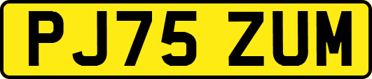 PJ75ZUM