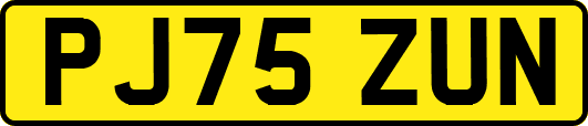 PJ75ZUN