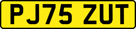 PJ75ZUT