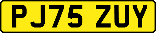 PJ75ZUY