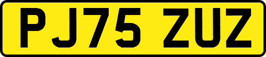 PJ75ZUZ