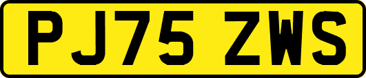 PJ75ZWS