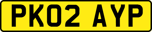 PK02AYP