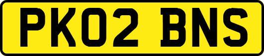 PK02BNS