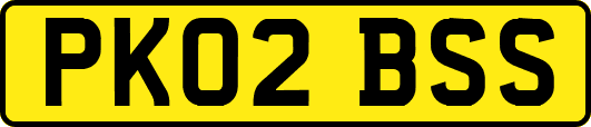 PK02BSS