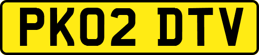 PK02DTV