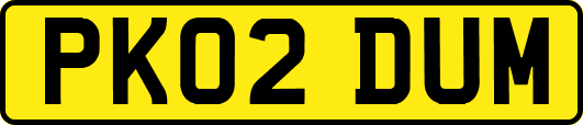 PK02DUM