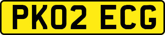 PK02ECG