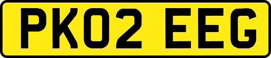 PK02EEG