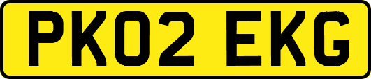 PK02EKG