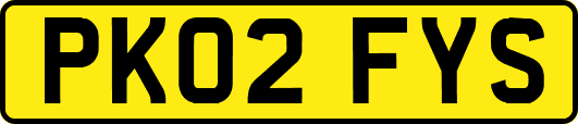 PK02FYS
