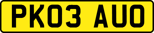 PK03AUO