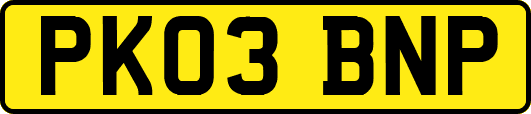 PK03BNP