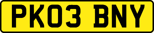PK03BNY