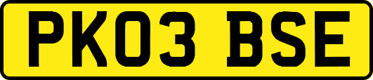 PK03BSE