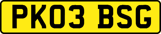 PK03BSG