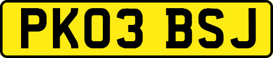 PK03BSJ