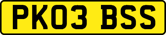 PK03BSS