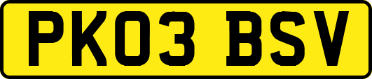 PK03BSV
