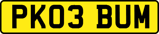 PK03BUM