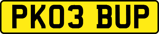 PK03BUP