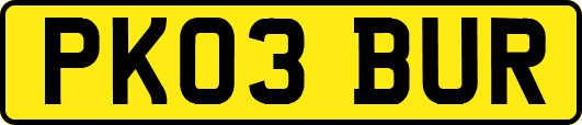 PK03BUR