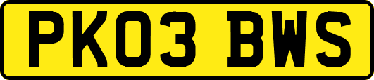 PK03BWS