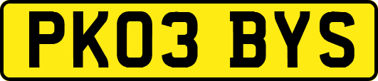 PK03BYS