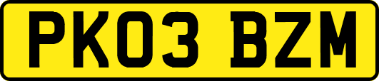 PK03BZM