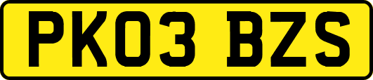 PK03BZS