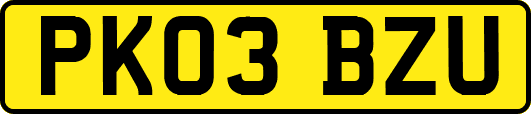 PK03BZU