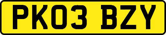PK03BZY