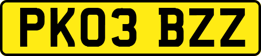 PK03BZZ