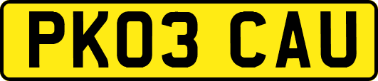 PK03CAU