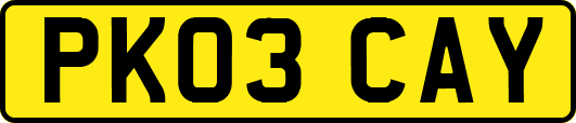PK03CAY