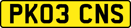 PK03CNS