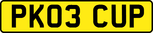 PK03CUP