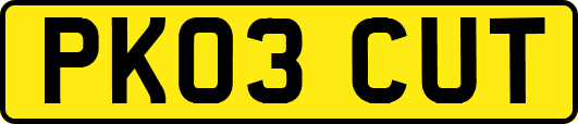 PK03CUT