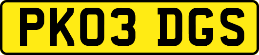 PK03DGS