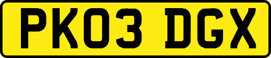 PK03DGX